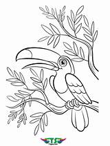 Printable Bird Colouring Pages sketch template