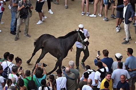 Palio of Siena 2023: a Race Full of Upsets – La Voce di New York