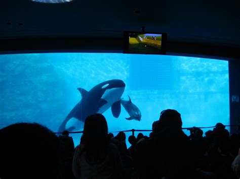 Victoria In Japan Land: Nagoya Port Aquarium