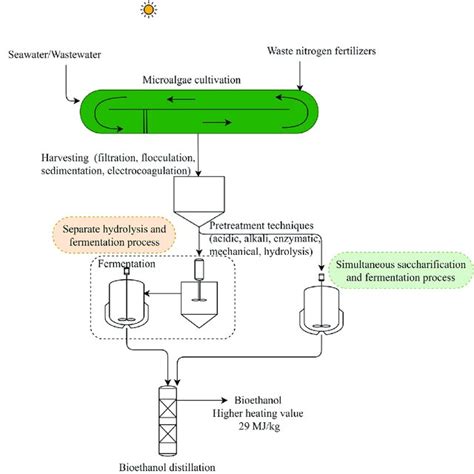 Biomethane production from various microalgae strains. | Download ...