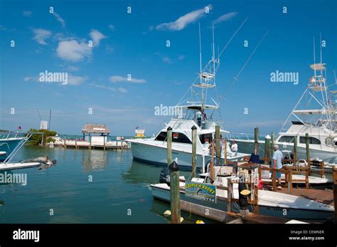 Fishing boats in Whale Harbor, Islamorada island Florida Stock Photo - Alamy