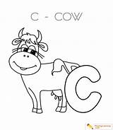 C Is For Cow Coloring Page  Free sketch template