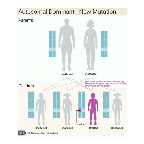 Cleidocranial dysplasia: MedlinePlus Genetics