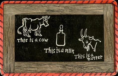 Cow Milk Butter Farming