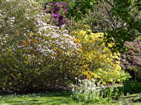 St Andrews Botanic Garden and Lade Braes - Sandcastle Cottage, Crail