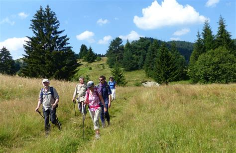 Rhodope Mountains, Bulgaria. Hiking & Trekking Tours. Guided & Self-guided.