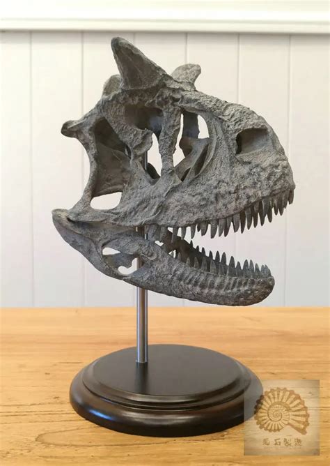 Carnotaurus Skull Skeleton Model Abelisauridae Dinosaur Animal Collector Toys Gift Fossil ...