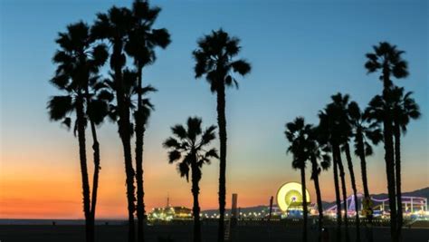 30 COOL THINGS TO DO IN LA AT NIGHT(BESIDES CLUBBING)