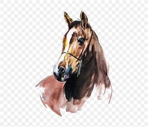 Arabian Horse Watercolor Painting Art, PNG, 550x707px, Arabian Horse, Art, Artist, Bridle ...