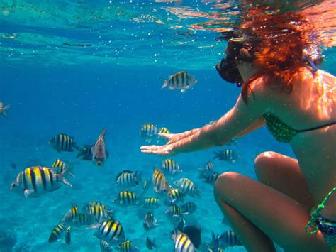 10 Fun Things to Do in Akumal: Local Insider Suggestions (2019)