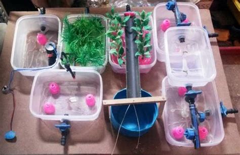 Drip Irrigation Model For Science Projects, Science Working Models - Sun Shine Labz, Bengaluru ...