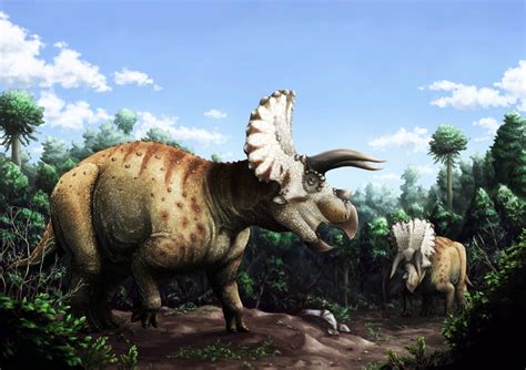 Triceratops by Y-Forest on DeviantArt | Paleo art, Prehistoric, Forest