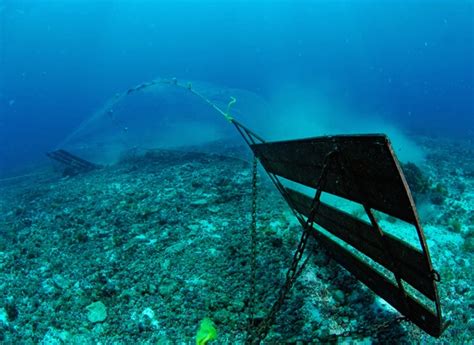 Destructive bottom trawling happens in 98% of the UK’s Marine Protected Areas – Ocean Desk