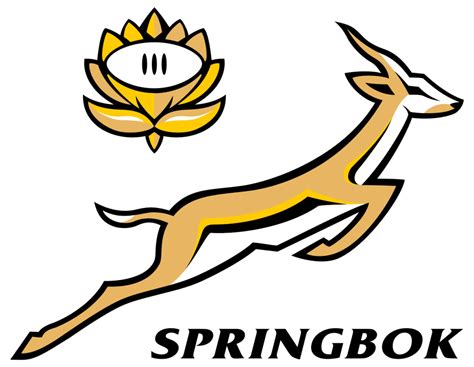 Springbok Rugby Png