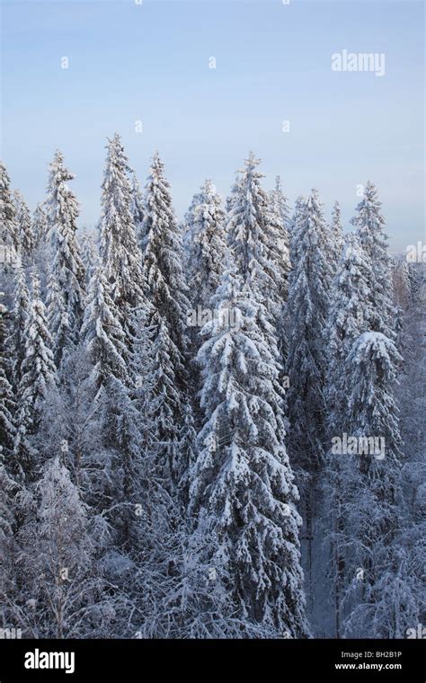 Winter landscape from Finland Stock Photo - Alamy