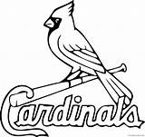 Arizona Cardinals Coloring Pages Printable Sheets Baseball cardinals  sketch template
