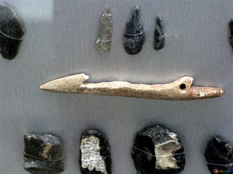 Changes in Stone tools used by Mesolithic hunter-gatherers linked to ...