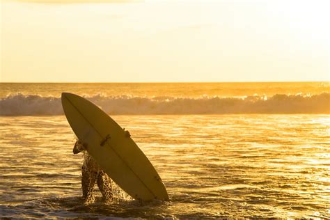 Free stock photo of beach, sunset, surfing