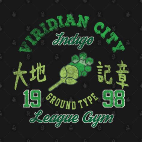 Viridian City Gym - 20th Anniversary Edition - Nintendo - Hoodie ...