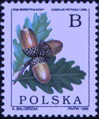 Stamp: Acorns on a branch of a Sessile Oak (Quercus petraea) (Poland(Deciduous Trees) Mi:PL ...