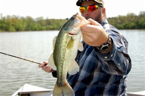 Bass Fishing Tips | Norwich, CT | Fishing Boat Dealership