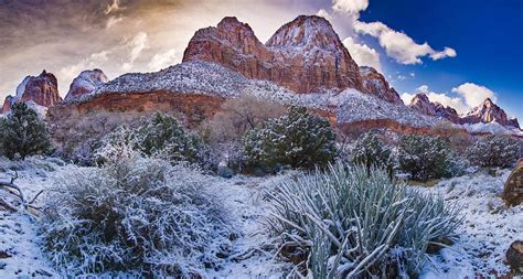 Sunrise in Zion Photograph by James Zebrack - Fine Art America