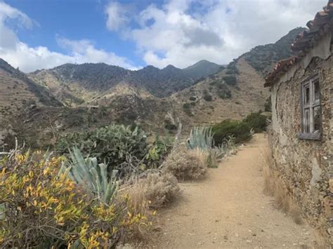 2023 Best 10 Trails and Hikes in La Gomera | AllTrails