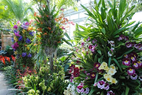 Bronx Botanical Garden | Escape into a Paradise of Flowers