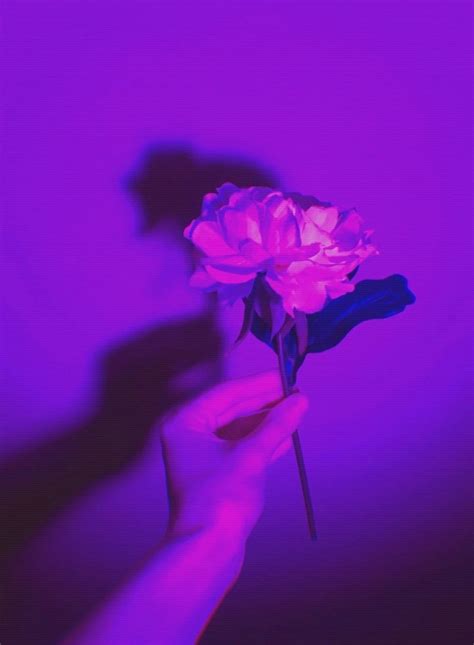 √ Purple Flower Aesthetic