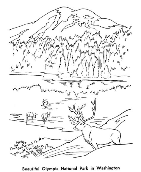 Wilderness Coloring Coloring Pages