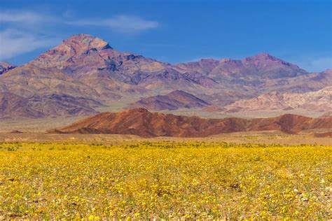 Death Valley National Park Visit: What You Should Know