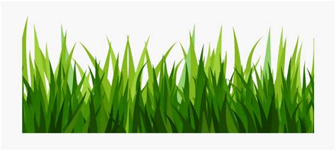 grass transparent background png - Clip Art Library