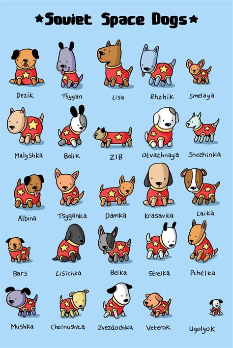 Soviet Space Dogs, A Tribute to Canine Cosmonauts