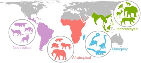 Ancient events are still impacting mammals worldwide