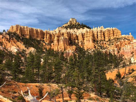 Bryce Canyon National Park - Fairyland Loop - Grey Otter OUTventures®