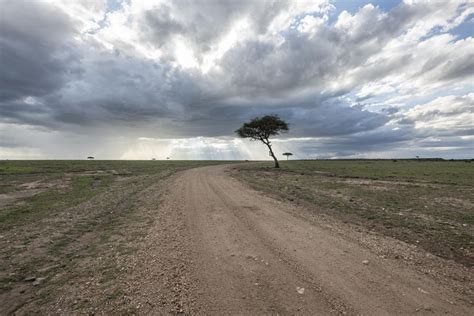 Dirt Road in Africa Savanna Dark Clouds - HDRi Maps and Backplates