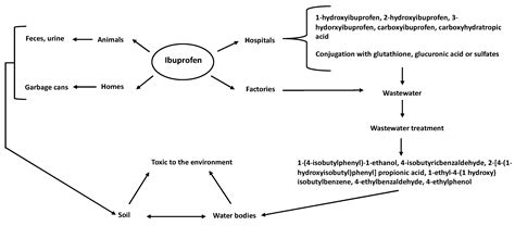 Ibuprofen Mechanism Of Action