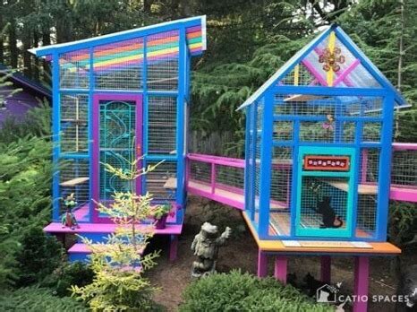 Catios: 7 Outdoor Cat Playgrounds You Have To See! - Catio Spaces