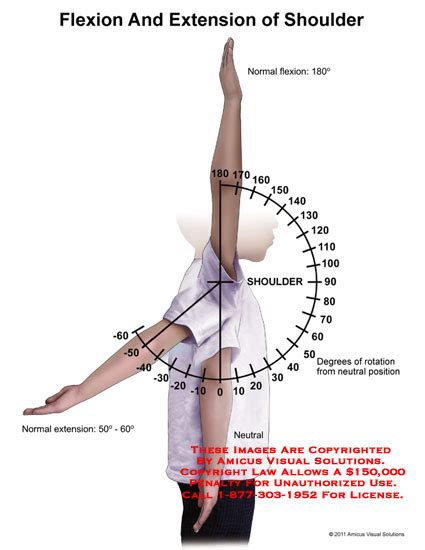 Flexion and Extension of Shoulder