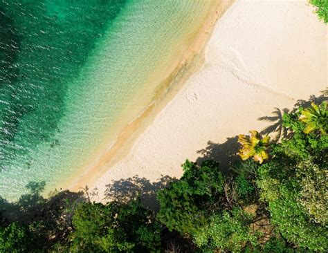 Premium Photo | Aerial view of a beach at the caribbean