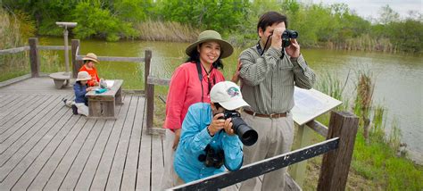 Estero Llano Grande State Park — Texas Parks & Wildlife Department