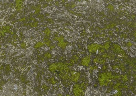 Stone Moss 3D | CGTrader