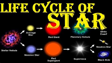 Star Life Cycle Chart Pdf