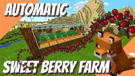 Sweet Berries Minecraft & Top 5 Best Uses Until Update 1.18