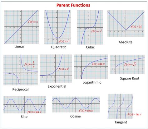 Graphs of parent functions | Parent functions, Graphing functions, Quadratics