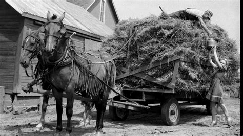 The Role of Women on the Farm in the Early 20th Century | The People in ...