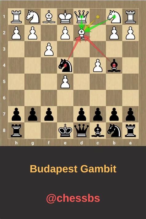 Chess budapest gambit – Artofit