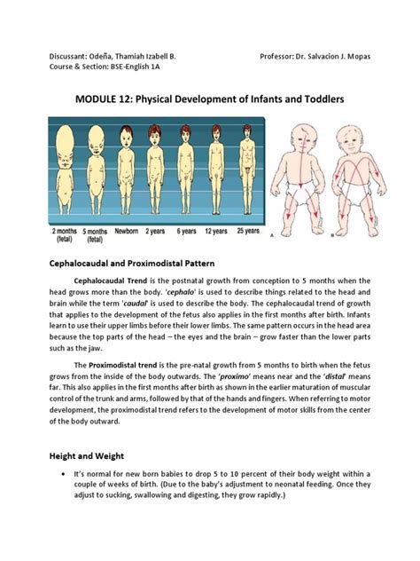 MODULE 12: Physical Development of Infants and Toddlers: Cephalocaudal and Proximodistal Pattern ...