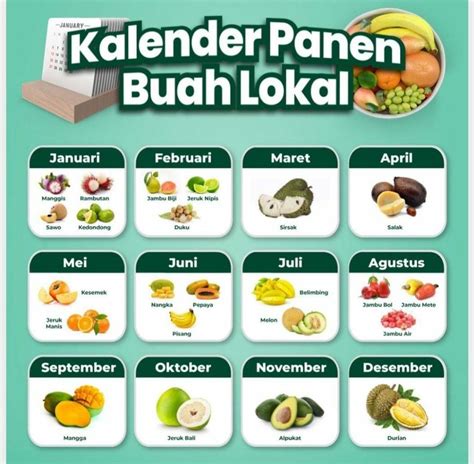 Kalender Buah hingga Musim Panen - Halaman 4