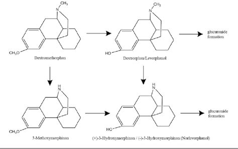 Figure 1 from Identifying Levorphanol Ingestion Using Urine Biomarkers ...